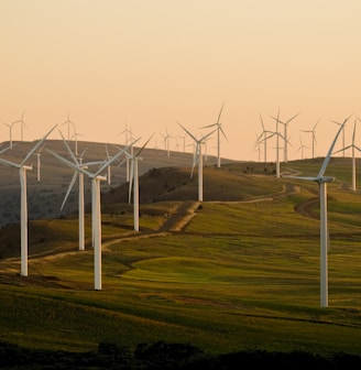 windmills on green field under white sky during daytime