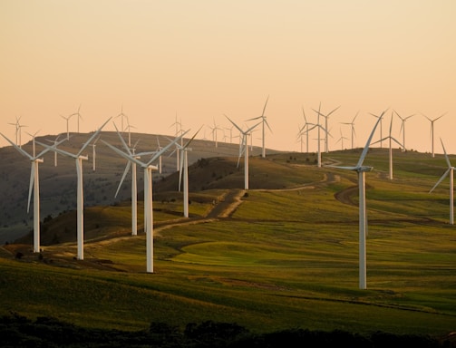 windmills on green field under white sky during daytime