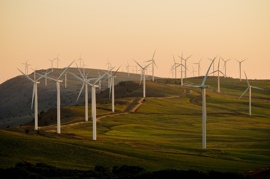 Wind turbines on rolling green hills at dusk, representing Vestas wind energy operations