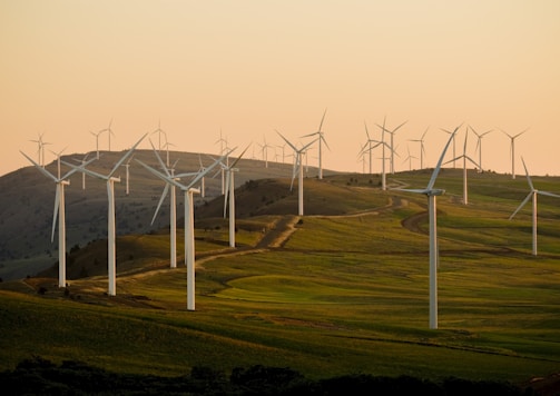 windmills on green field under white sky during daytime