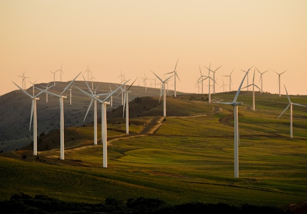 windmills on green field under white sky during daytime