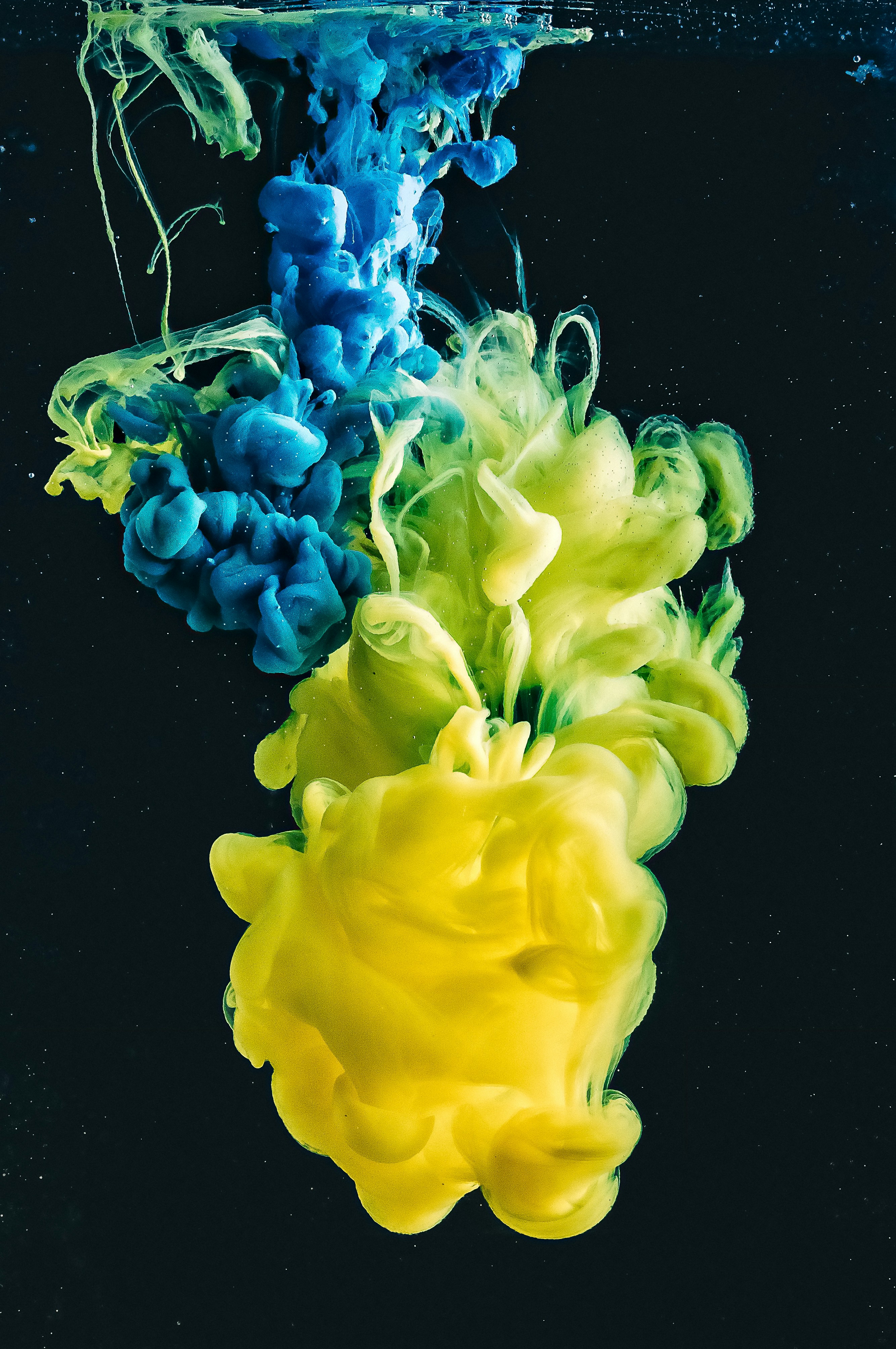 The Extended Mind: How Brain-Computer Interfaces Will Redefine Intelligence