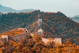 凤归朝