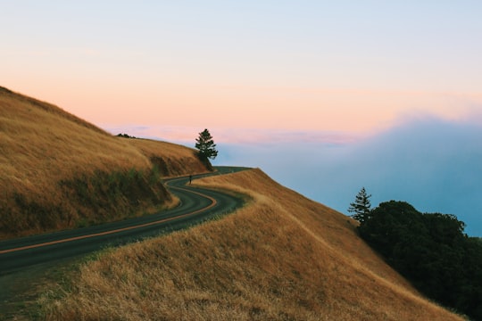 wave pathway at the top of mountain in Mount Tamalpais United States