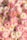 white-and-pink petaled flower lot