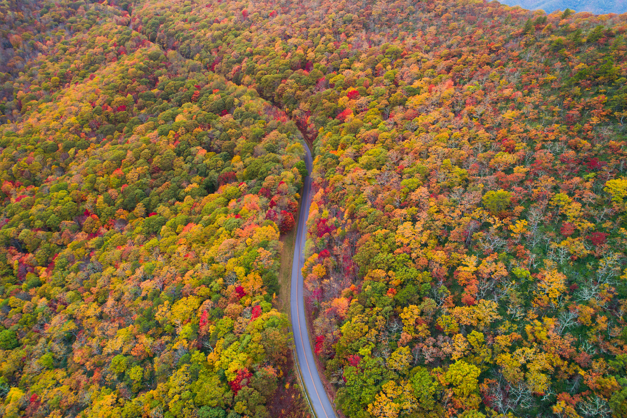 The Hidden Risks Inside America’s Supposed Climate Havens