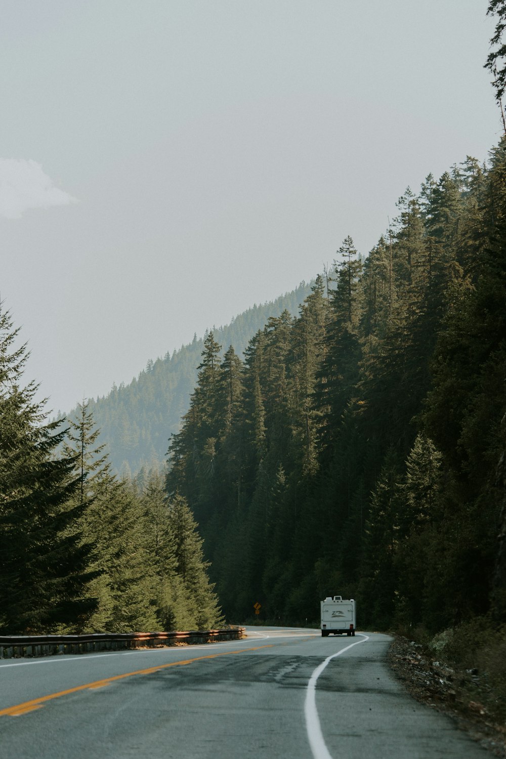 fotografia di paesaggio di strada e foresta