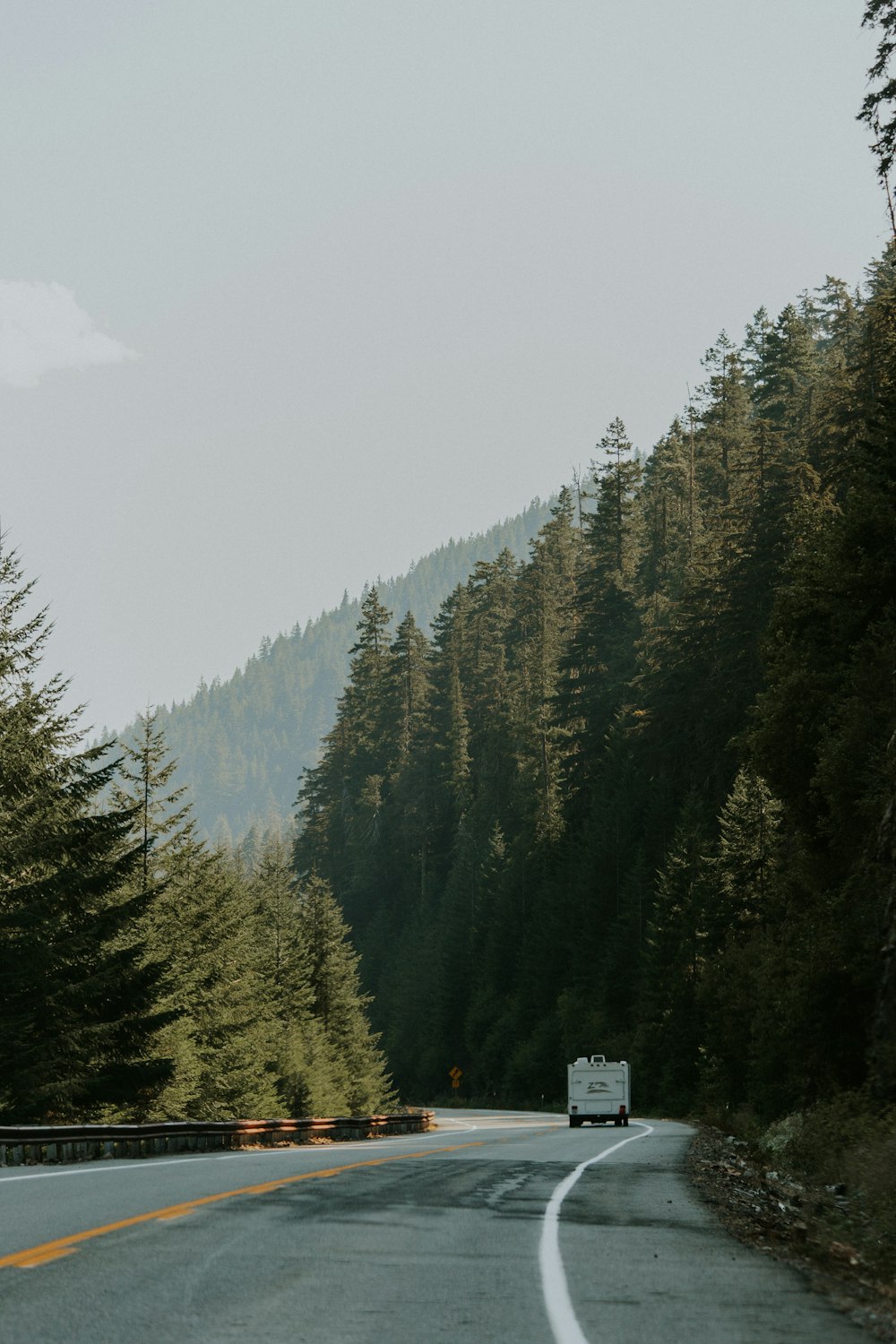 fotografia de paisagem de estrada e floresta