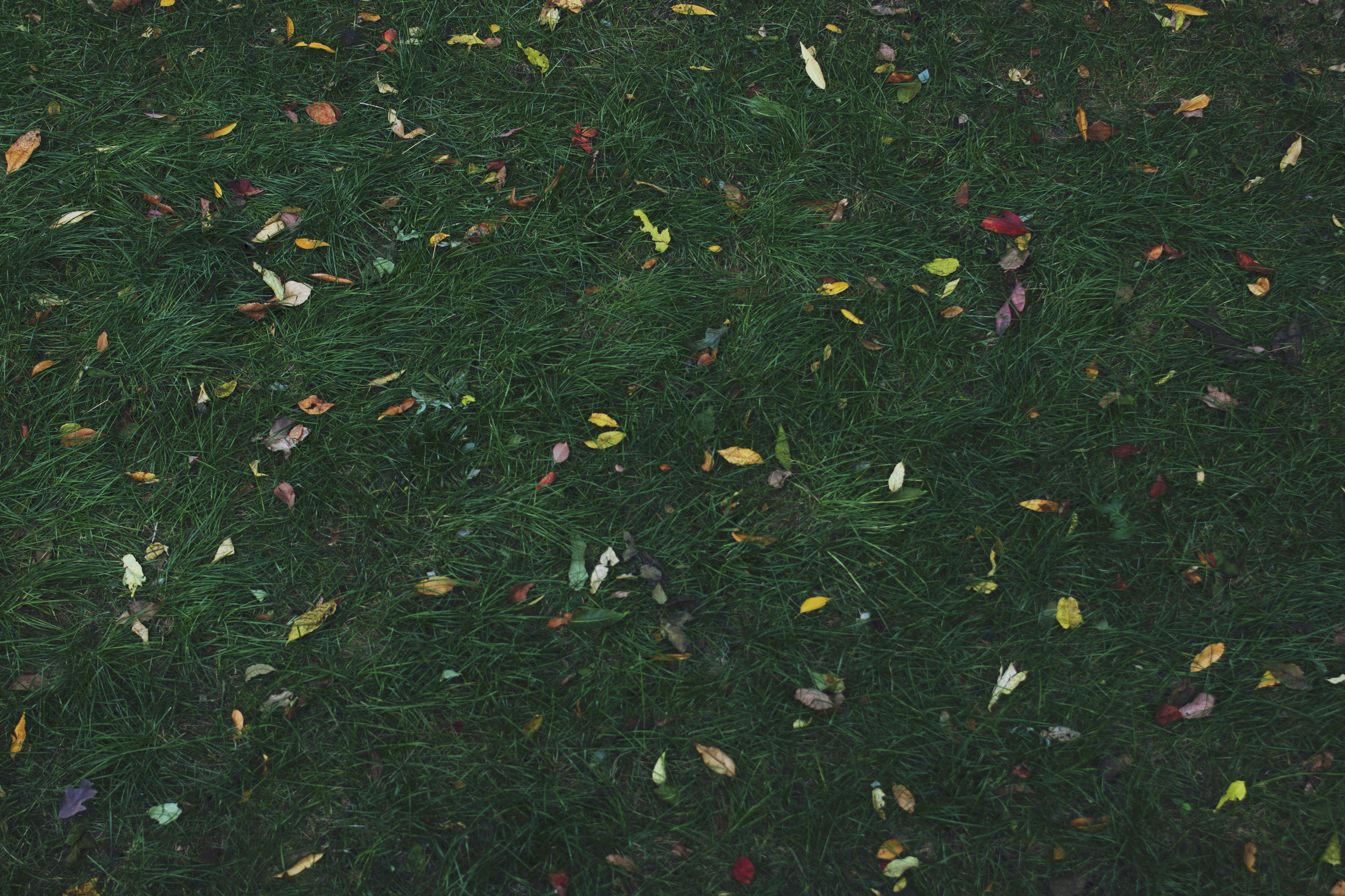 זוֹ בְּכִיַּת הַזְּמַן, בְּכִיַּת הַכֹּל 1