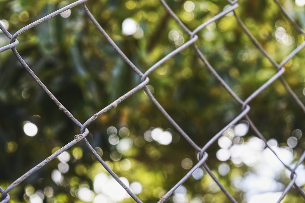 shallow focus photography of cyclone wire