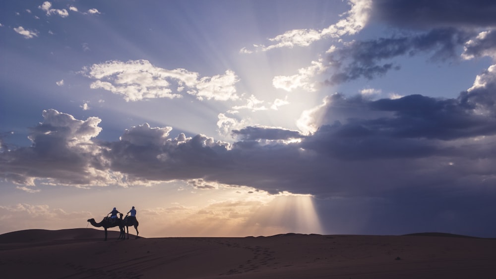 duas pessoas andando de camelo na areia