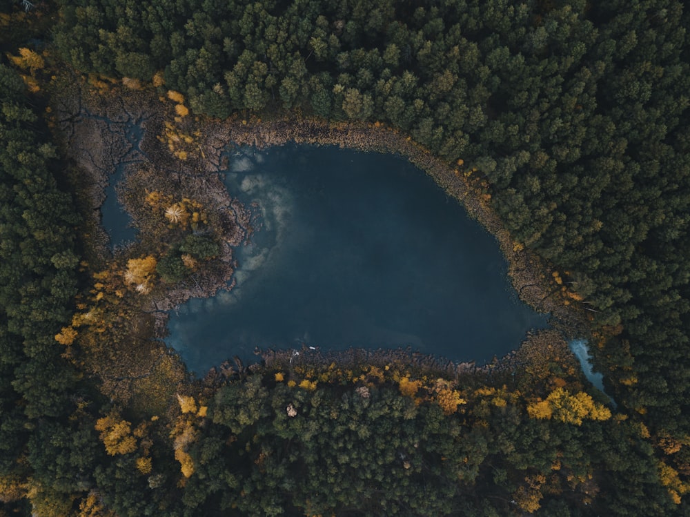 calmo specchio d'acqua circondato da alberi