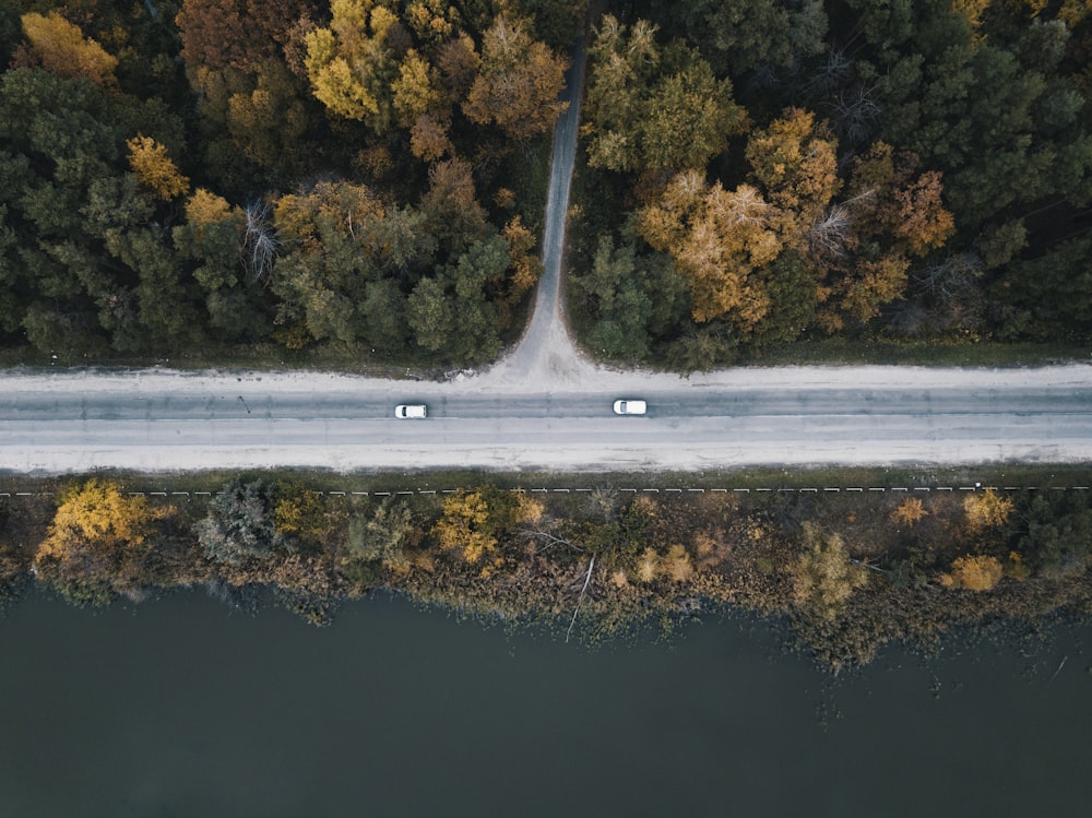 foto a volo d'uccello della strada tra alberi a foglia verde