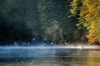 Early morning mist over a quiet lake surrounded by lush pine forests, with a fishing boat waiting.