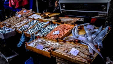assorted fish display on market