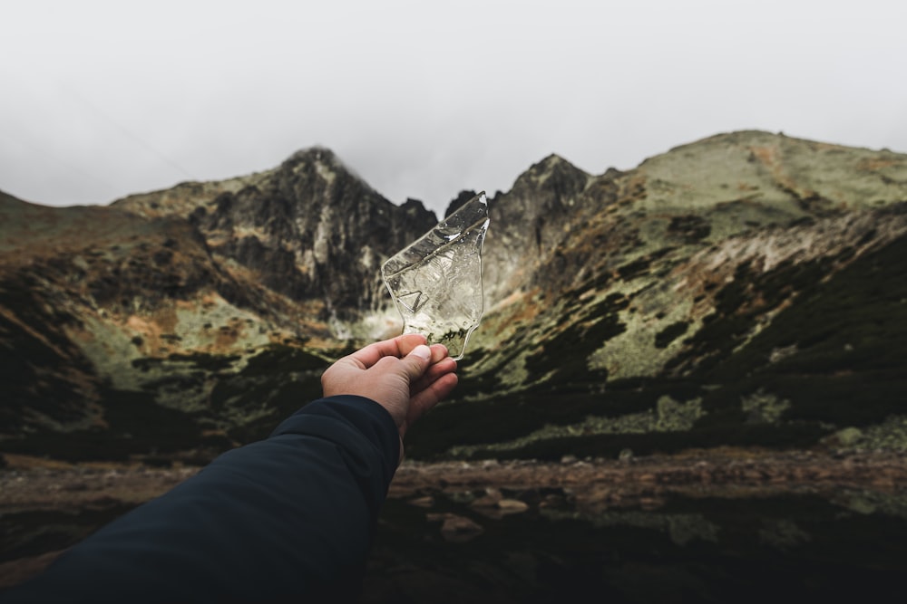 person holding glass