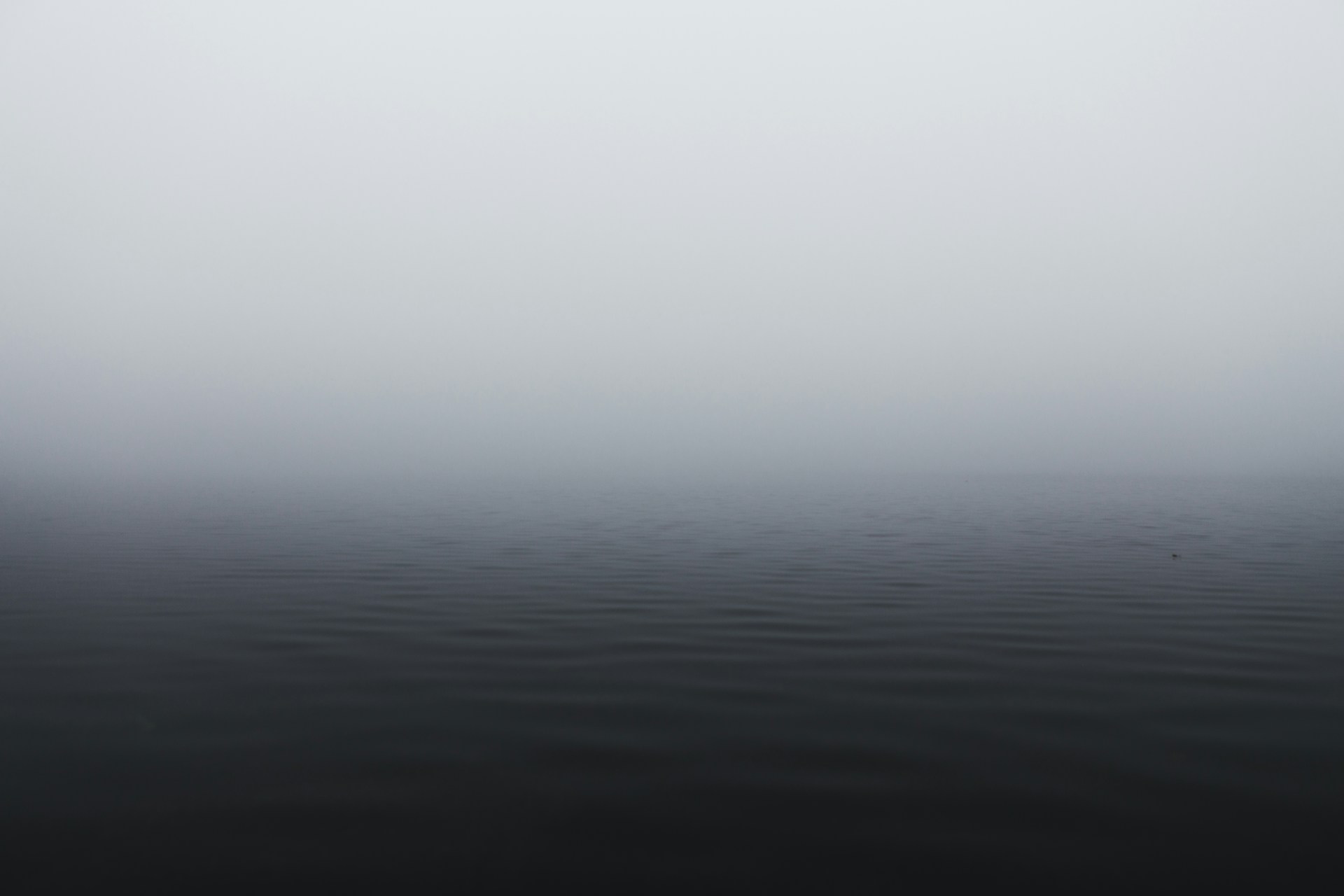 grayscale photography of body of water