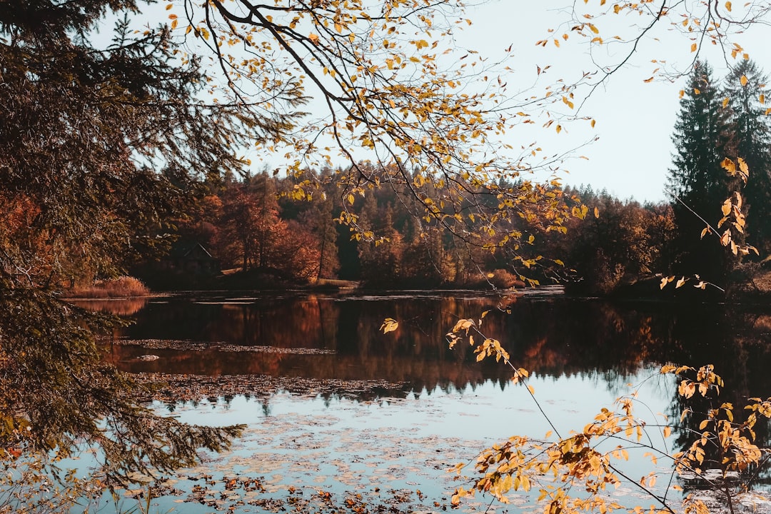 Nature reserve photo spot Lago di Cei Karersee