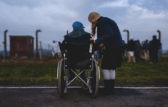 woman standing near person in wheelchair near green grass field