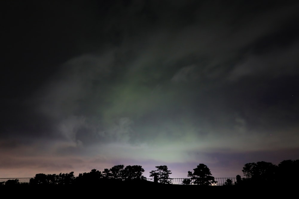 silhouette of trees under aurora