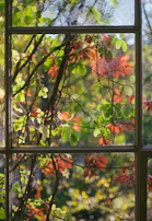 Sunlight streaming through a window onto a colorful art piece.