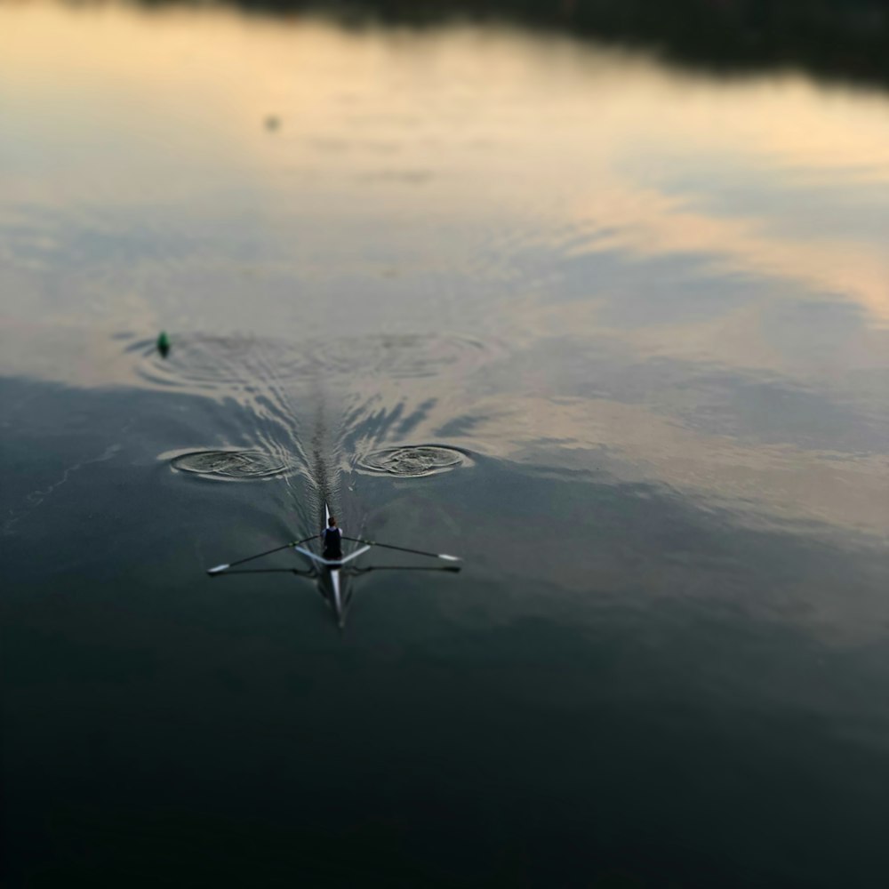 macro shot photography of water