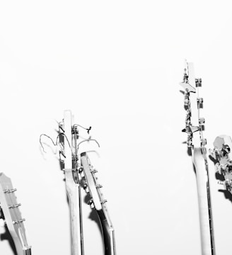 grayscale photography of guitar heads