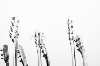 grayscale photography of guitar heads