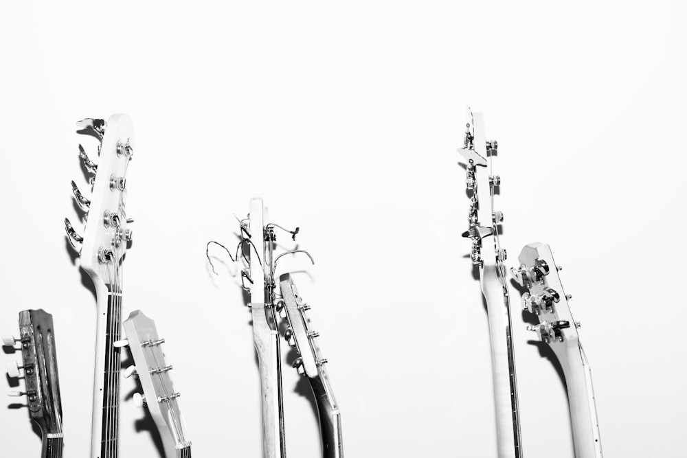 Photographie en niveaux de gris de têtes de guitare