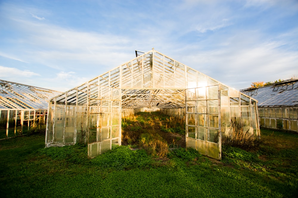 green house under white clouds during daytime