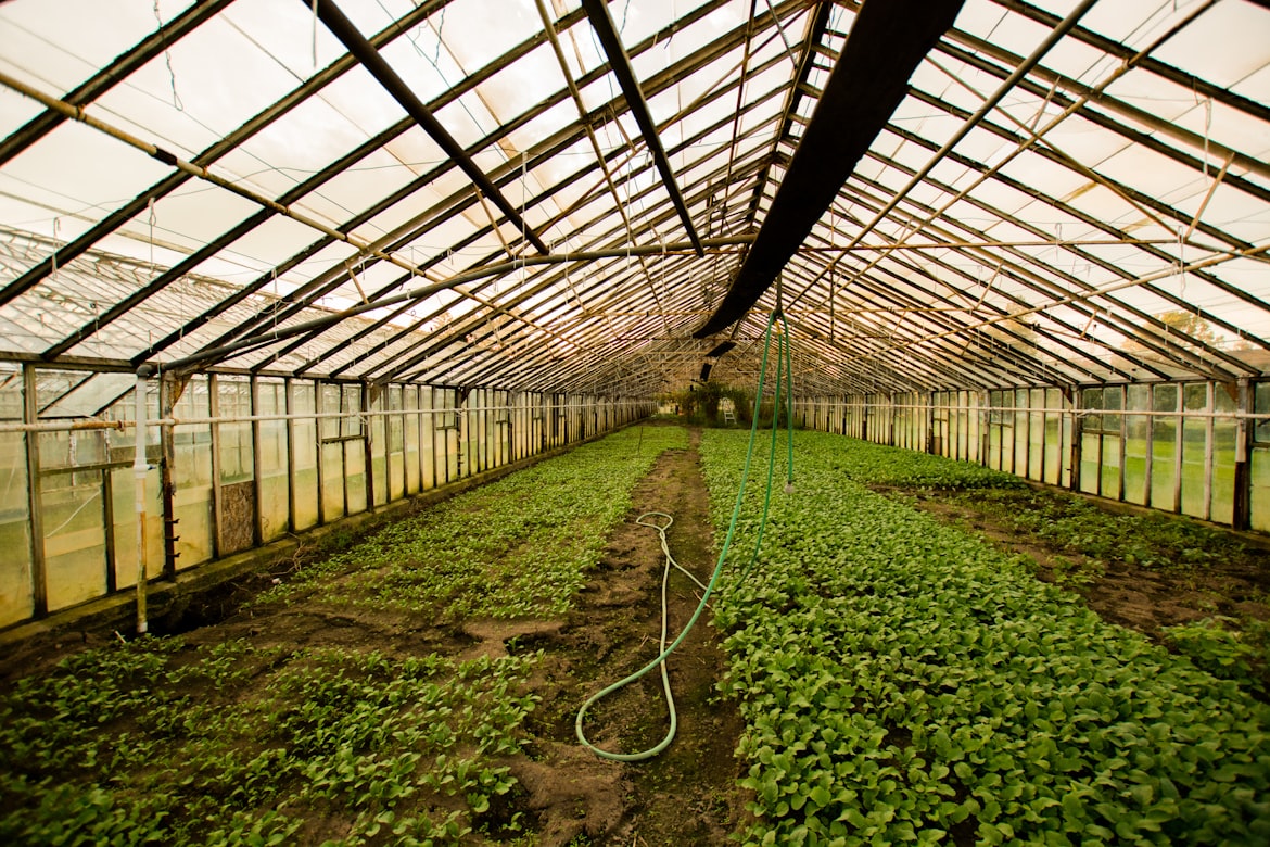Image of a greenhouse.