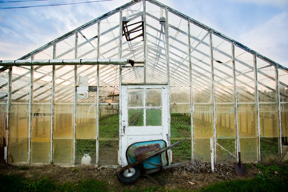 white framed greenhouse with teal wheelbarrown