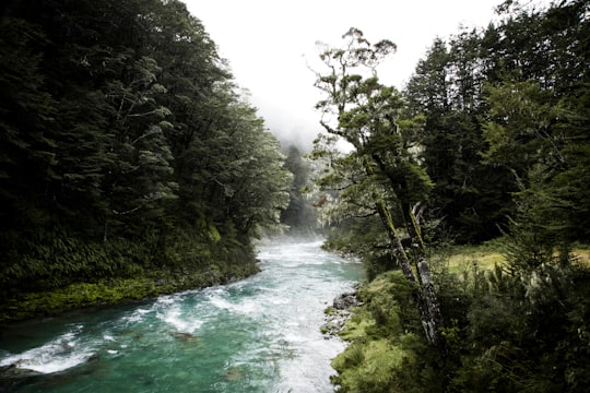 Routeburn Track things to do in Queenstown