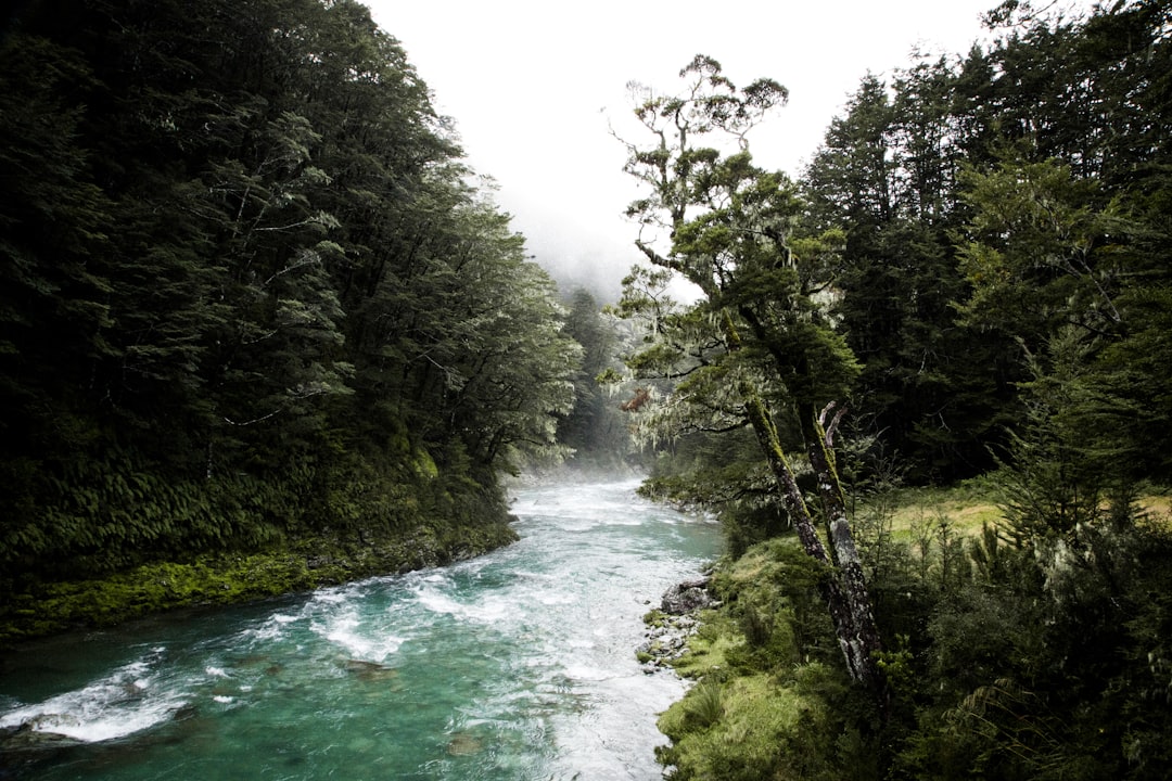 photo of Routeburn Track Nature reserve near Milford Sound