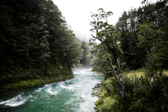 lake surrounded by green grass field in Routeburn Track New Zealand