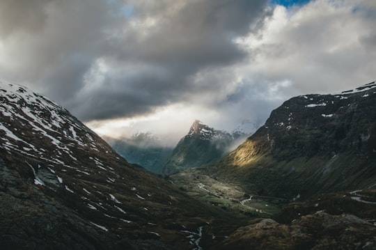 green tree covered mountain under white sky in Geiranger Norway