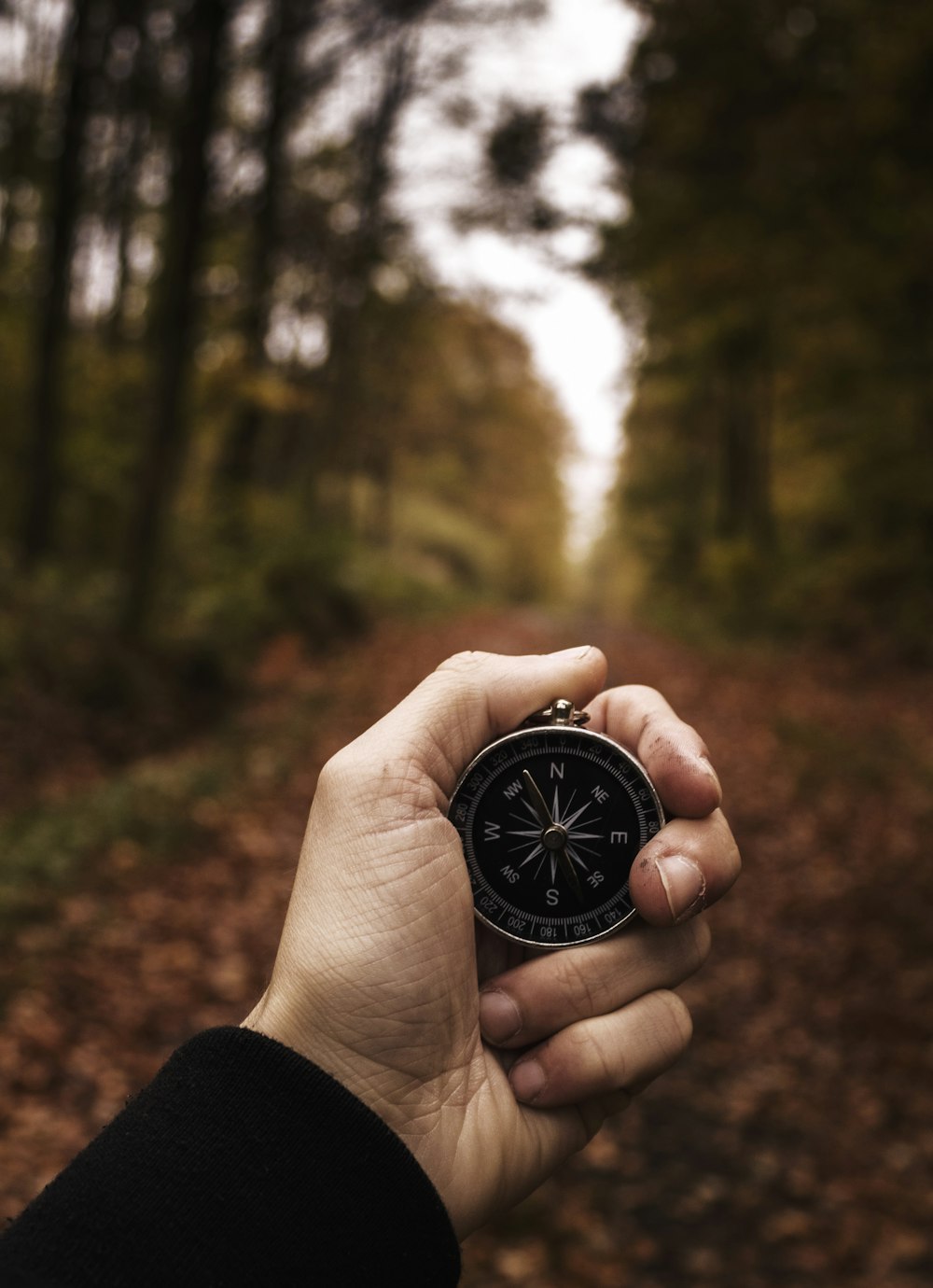 person holding compass