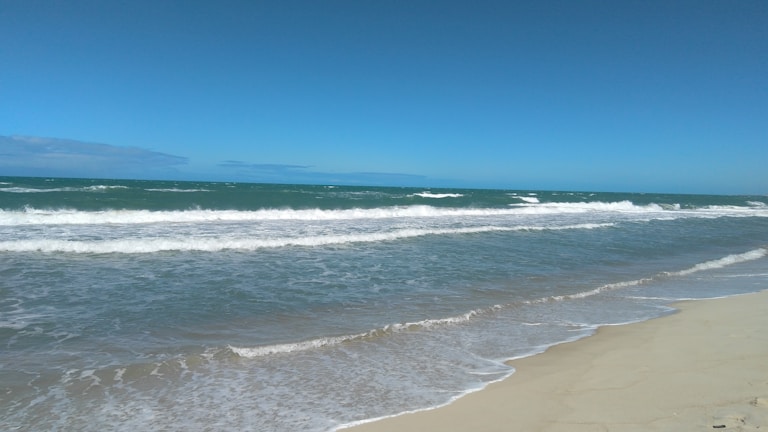A serene beach with a clear blue sky and gentle waves.