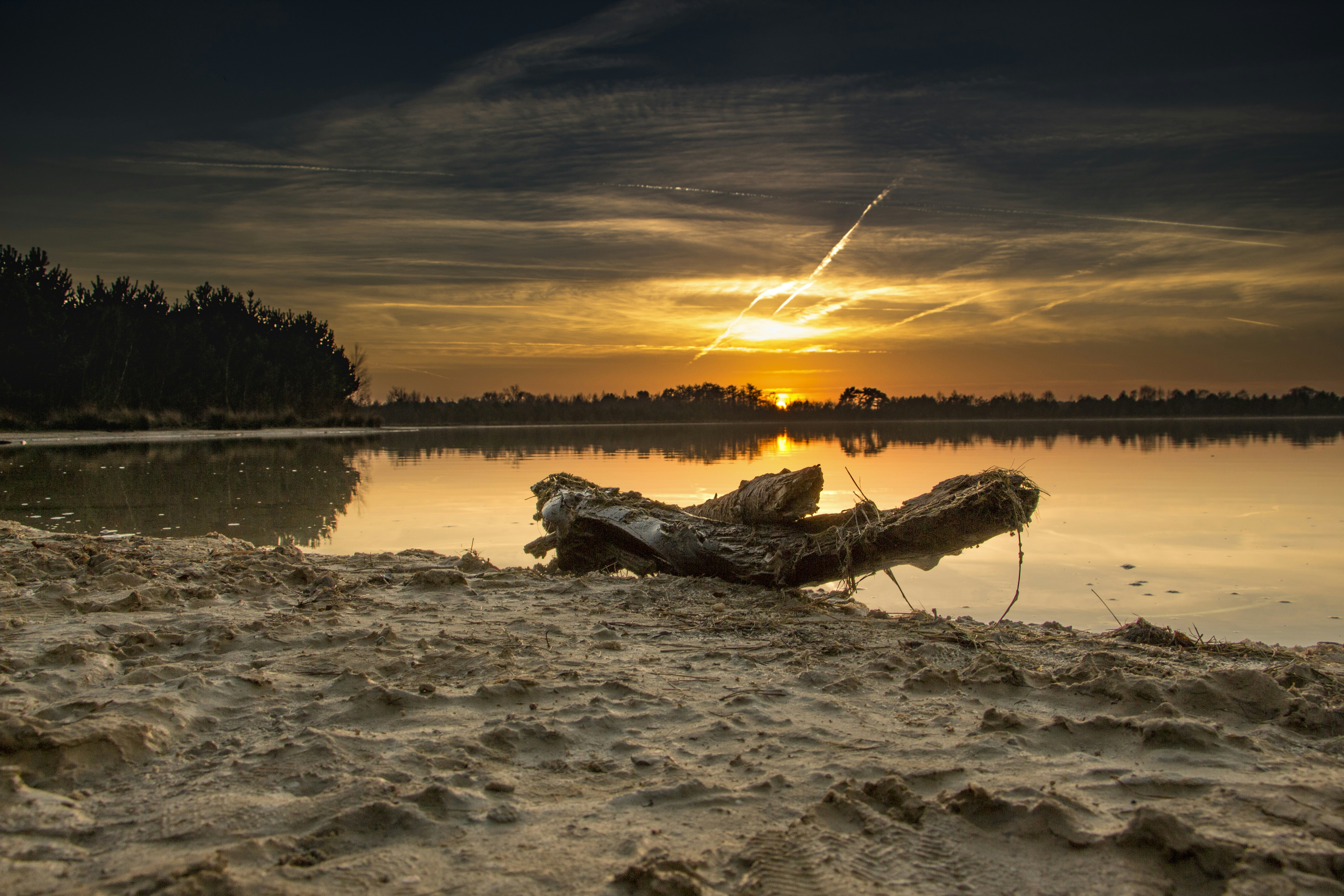 Afbeelding van Budel