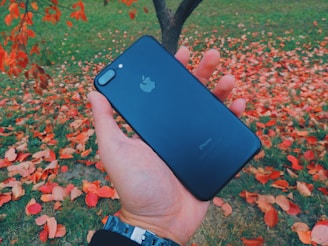 A hand holds a black smartphone with an apple logo on the back, surrounded by vibrant red and orange autumn leaves scattered on the green grass.