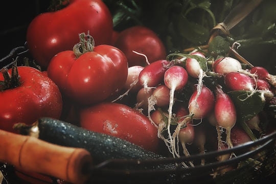 Vibrant basket filled with fresh organic tomatoes, cucumbers, and leafy greens.