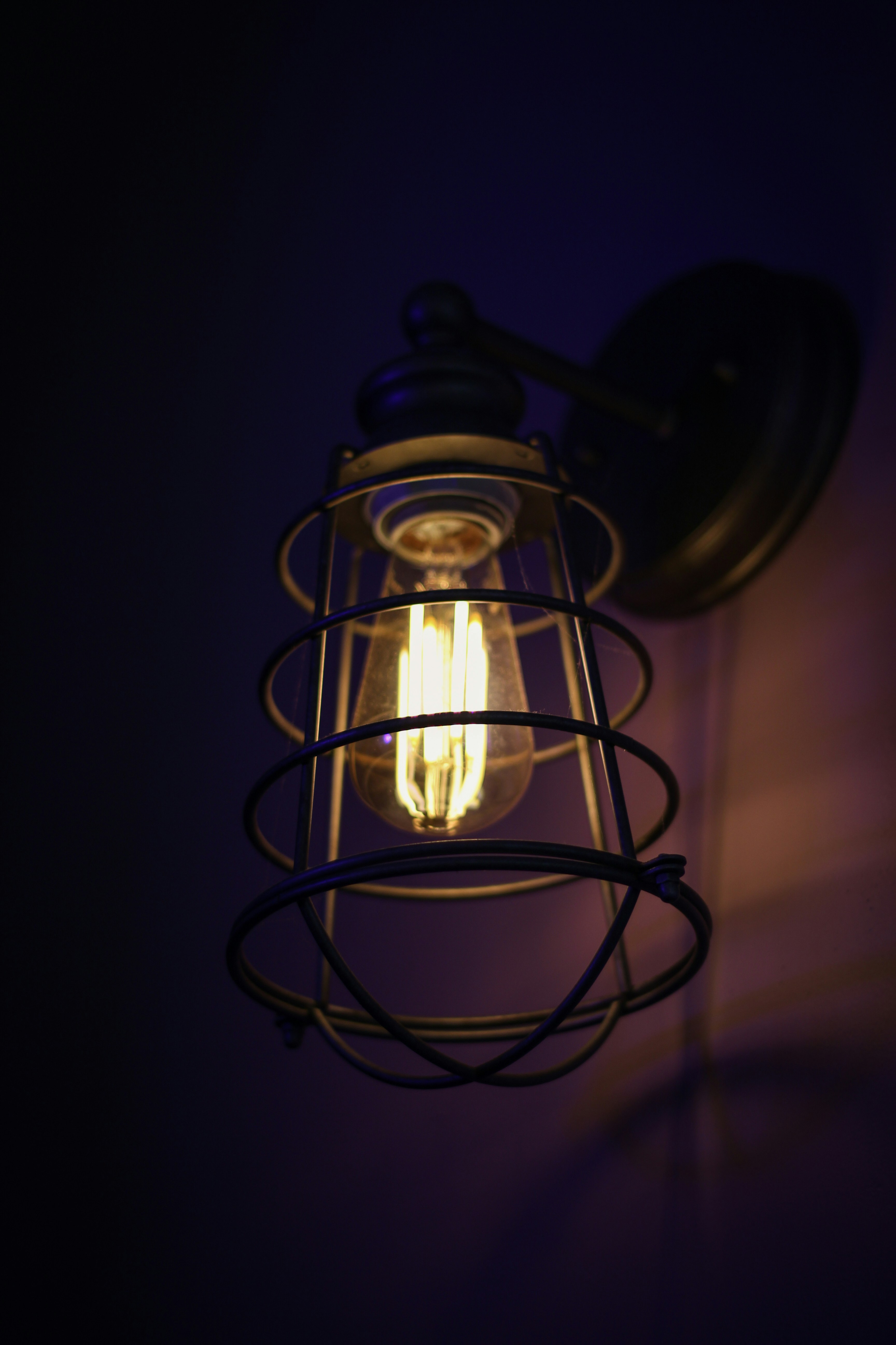 Elegant Wall Sconce