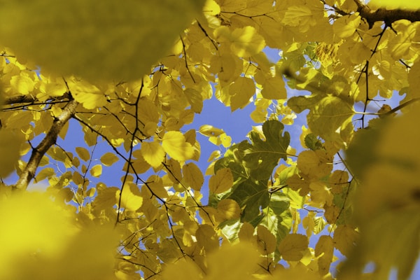 Robuste Konstruktion