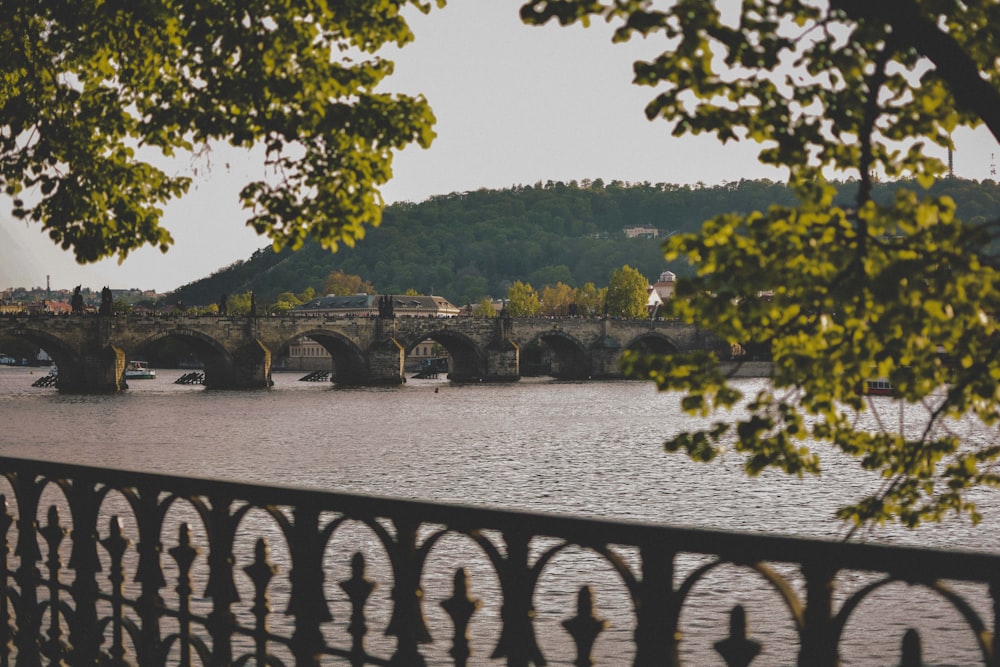 Pont Charles à Prague pendant la journée