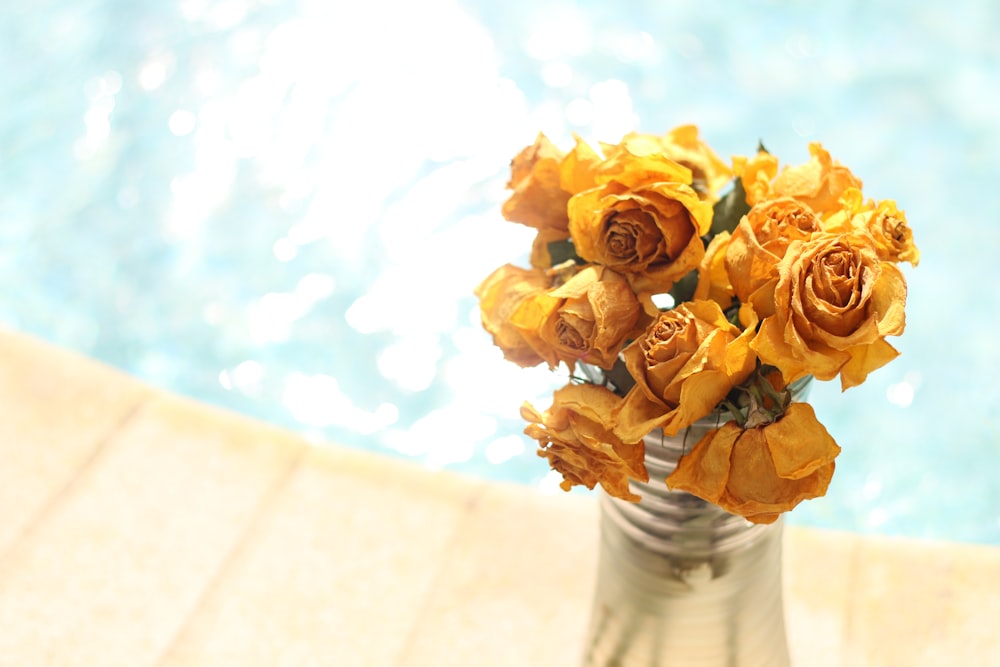 花瓶の茶色の花びらの花の上面写真
