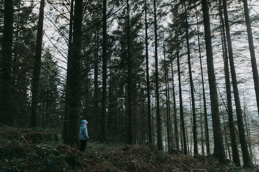 person standing on forest during daytime