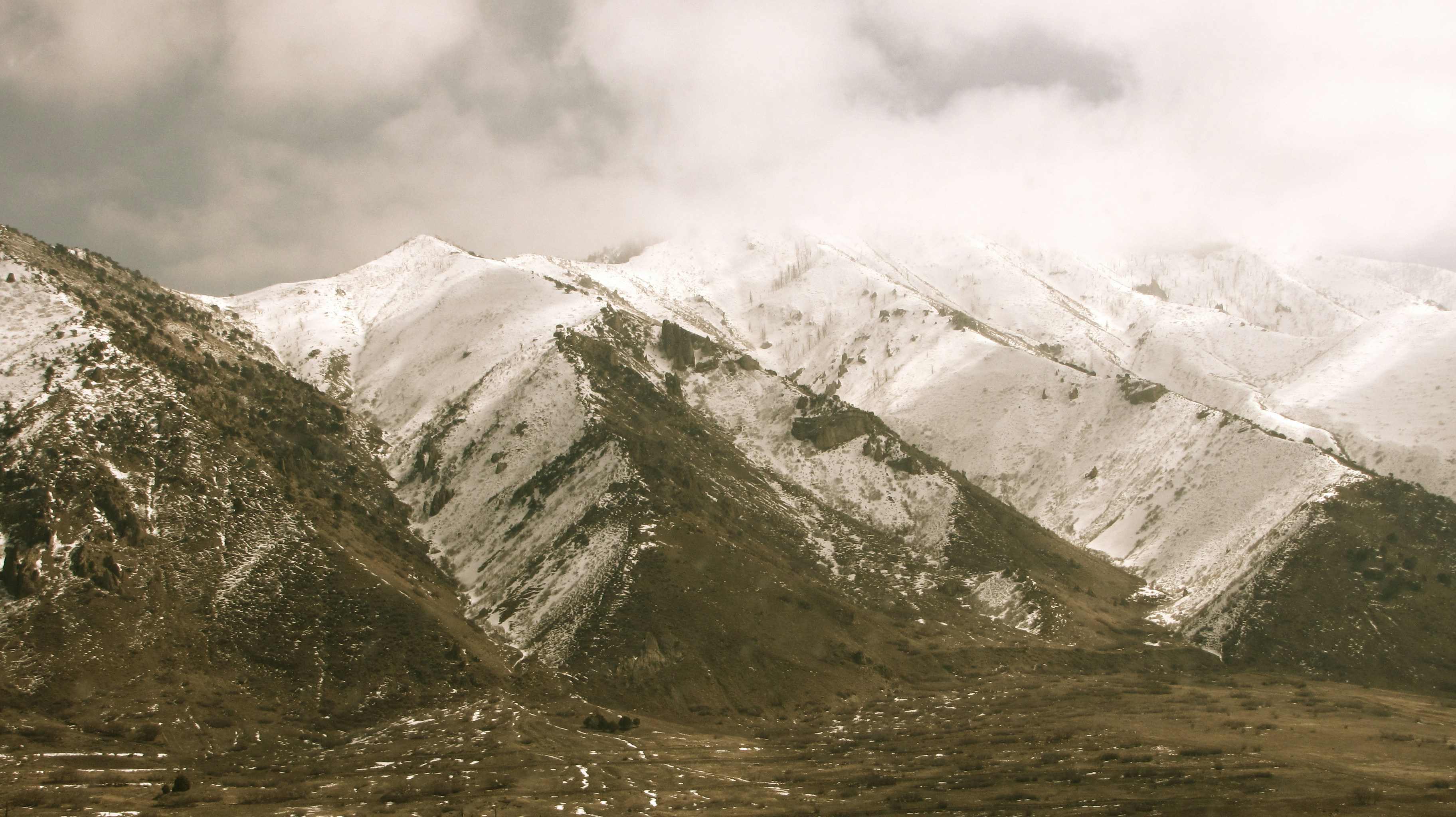 Photo by wattersflores