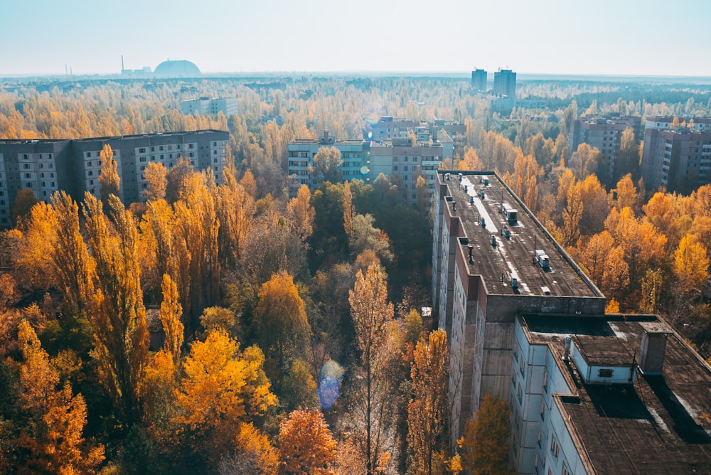 birds eye view of chernobyl buildings surrounded with trees