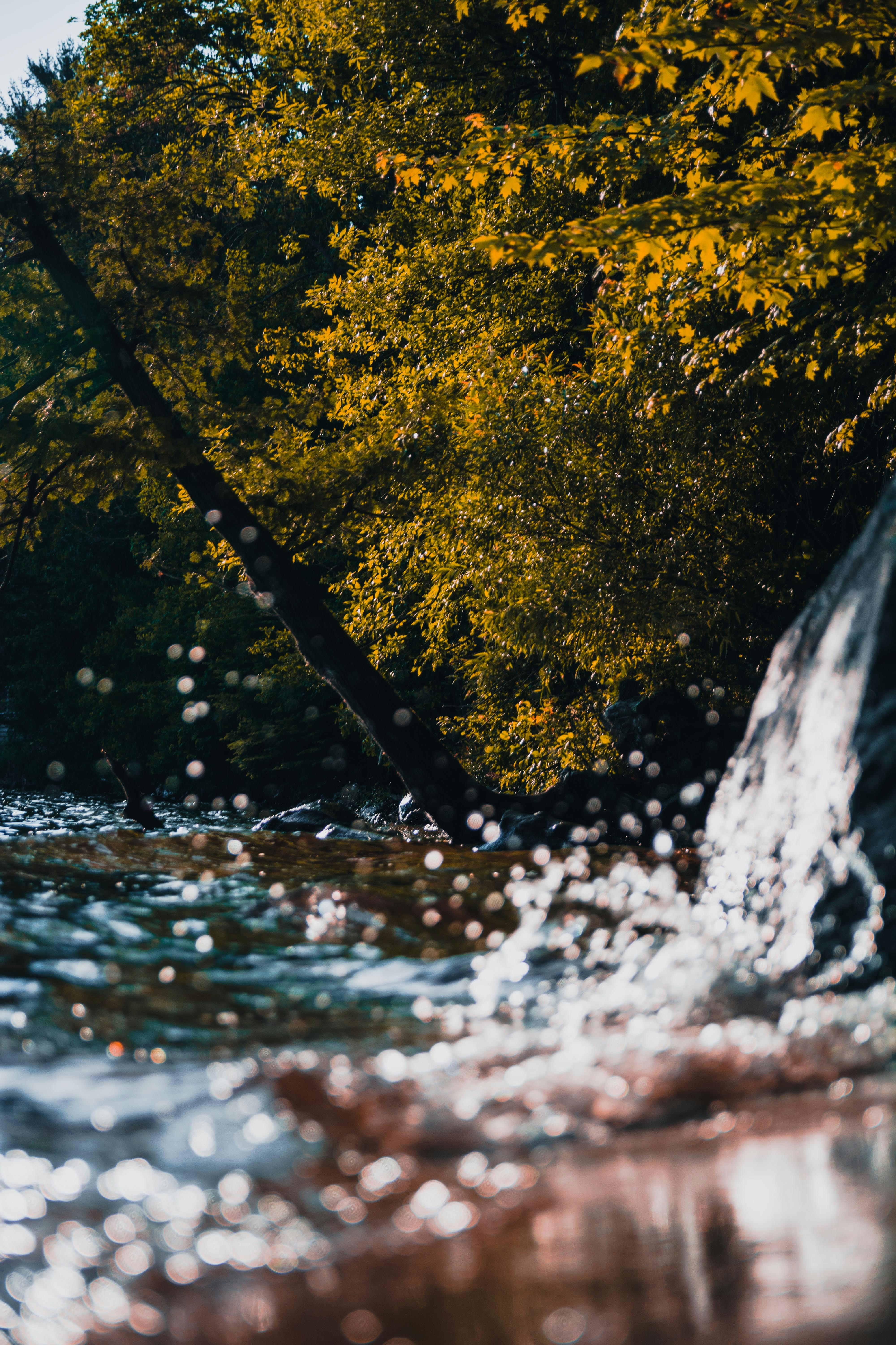 "Поточе" Елин Пелин