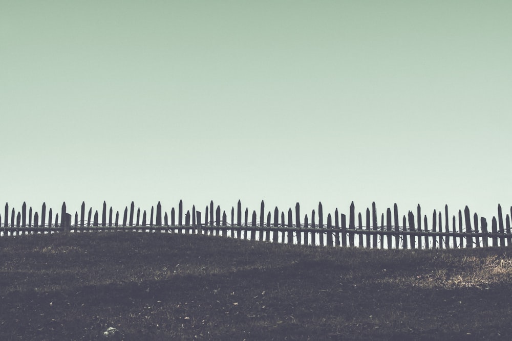 brown wooden fence on brown sands